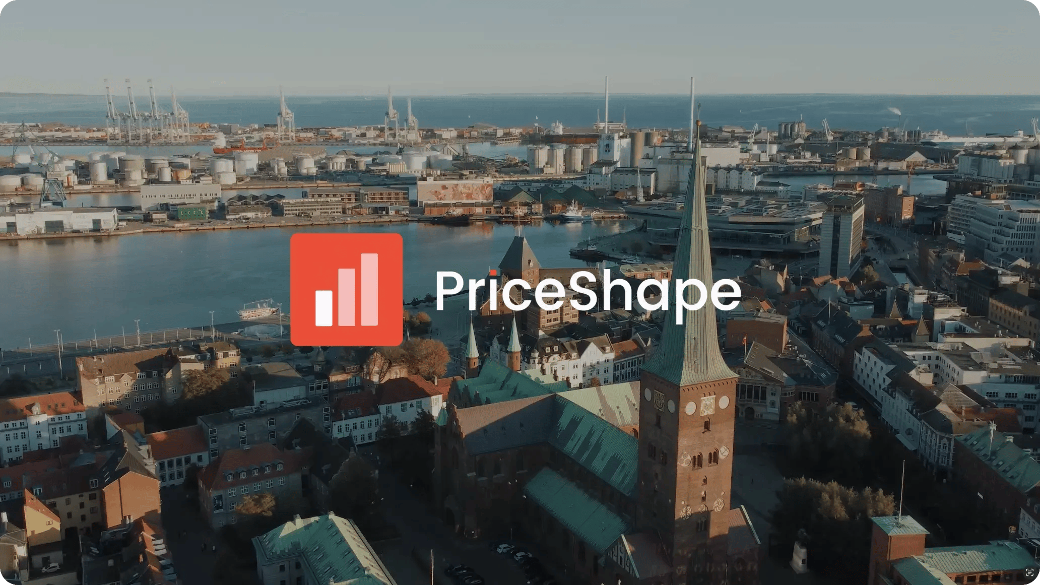 Nous sommes PriceShape (1)