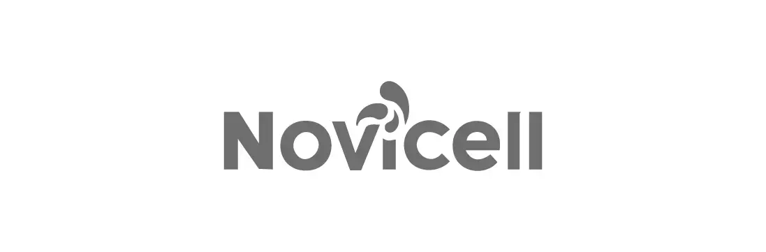 novice